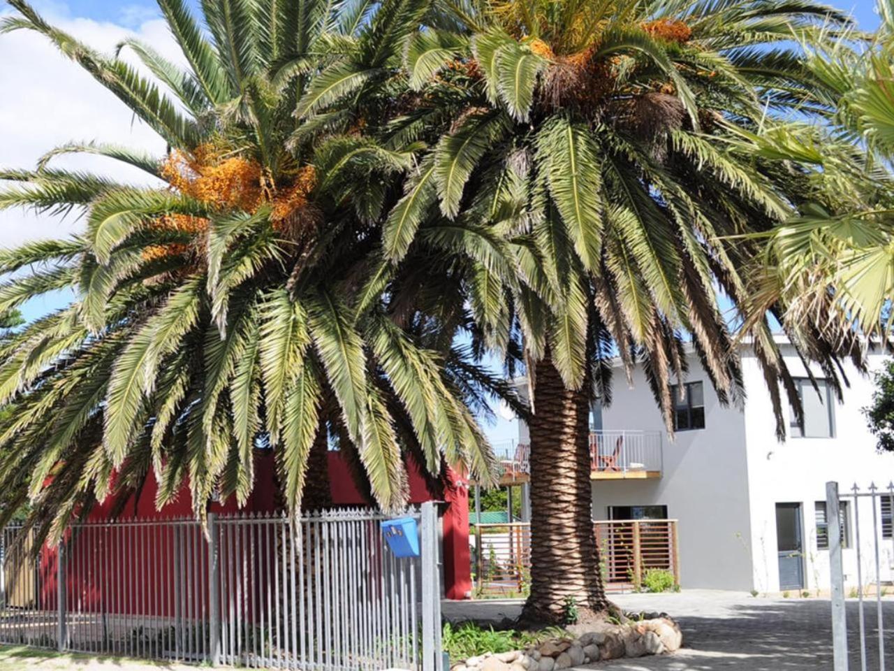 Two Palm House - Vermont Hermanus Villa Exterior photo